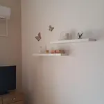 Mrdelja Daire Vrsi